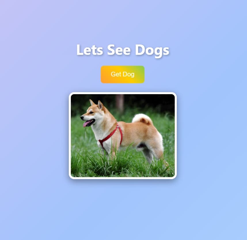 Dog API Gallery screenshot